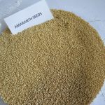 Amaranth Seeds (1)