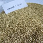 Amaranth Seeds (2)