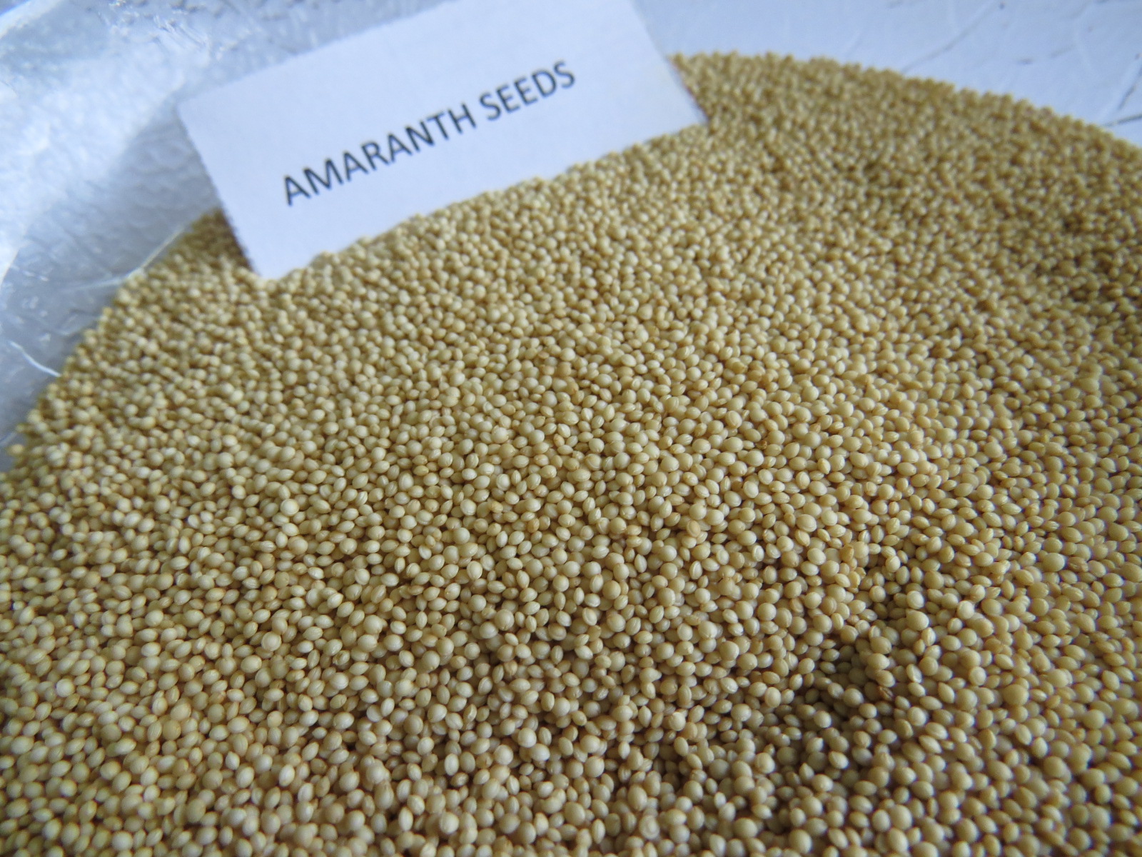 Amaranth Seed Veer International
