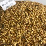 CHILLI SEEDS PREMIUM (1)