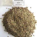 DILL SEED