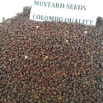 MUSTARD COLOMBO QUALITY (1)