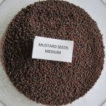 Mustard Medium (2)