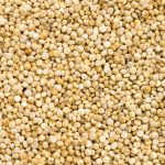 Quinoa Seeds