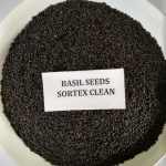 BASIL SEEDS SORTEX CLEAN (4)