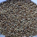 Green Millet Sortex (5)