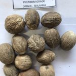 Nutmeg premium (2)